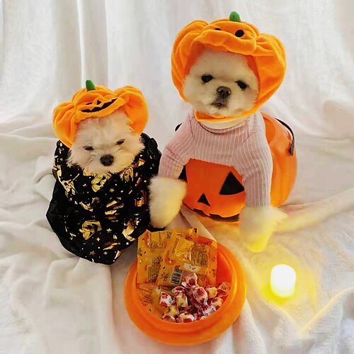 

Pet Cat Dog Pumpkin Hat Halloween Ghost Festival Decoration Headwear Supplies Small Medium And Large Dog Teddy Method