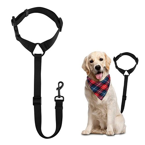 

Dog Pets Leash Portable Durable Safety Outdoor Walking Solid Colored Nylon Black 1pc