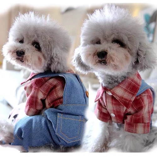 

Pet bicarbonise miniature dog Schnauzer Teddy dog clothes thin spring clothing Spring summer four legs jeans strap