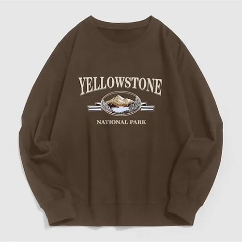 

Men's Sweatshirt Pullover Graphic Patterned Letter Daily Holiday Going out Hot Stamping Casual Streetwear Hoodies Sweatshirts Green White Black