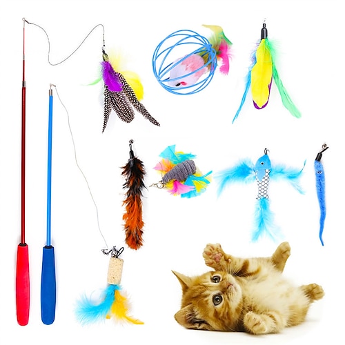 

Jouet interactif chien chat 10 pièces ensemble de jouets pour chat de compagnie rétractable drôle chat bâton plume cloche interactif chat ensemble fournitures