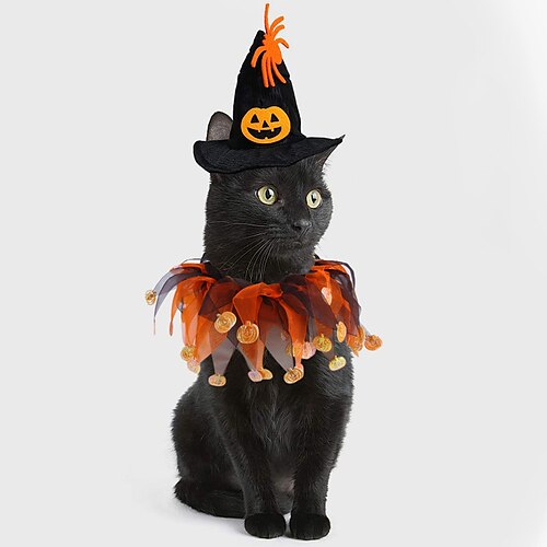 

2 Pcs New Halloween Hat Scarf Set Skull Pattern Cat Cape Hat Set Decorations