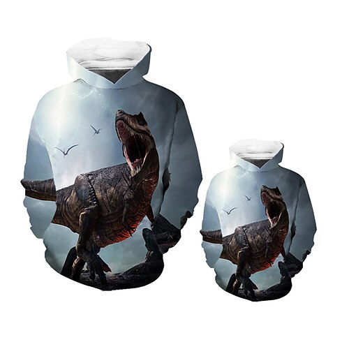 

Dad and Son Hoodie Dinosaur Animal Street Print Blue Long Sleeve Active Matching Outfits