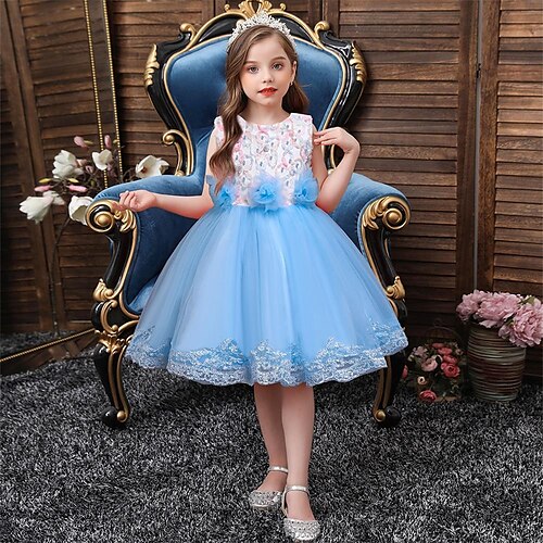 

Kids Little Girls' Dress Solid Colored Flower A Line Dress Party Special Occasion Embroidered Purple Pink Light Blue Knee-length Sleeveless Princess Cute Dresses Spring Summer Slim 3-10 Years