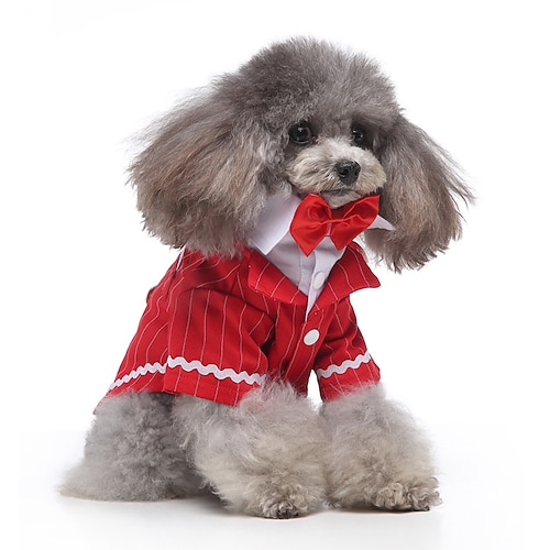 

Dog Cat Suit Stripes Color Block Fashion Gentle Casual Daily Outdoor Winter Dog Clothes Puppy Clothes Dog Outfits Breathable 1 2 3 Costume for Girl and Boy Dog Polyster S M L XL