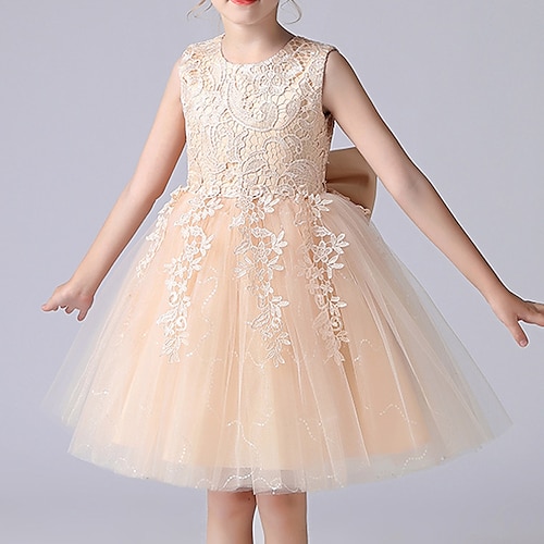

Event / Party First Communion Princess Flower Girl Dresses Jewel Neck Above Knee Lace Tulle Spring Summer with Petal Lace Cute Girls' Party Dress Fit 3-16 Years