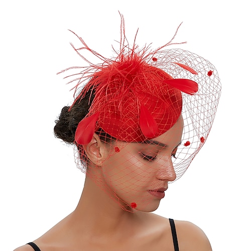 

Fascinators Feathers Lace Party / Evening Kentucky Derby Wedding With Tulle Headpiece Headwear