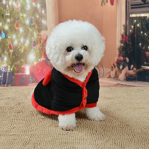 

Pet Teddy Poodle Bichon Puppy Clothes Halloween Cloak Dog Cat Costume Bat Cosplay Fashion Casual Daily Outdoor Dog Clothes Puppy Clothes Dog Outfits Soft Orange Costume for Girl and Boy Dog Cloth L