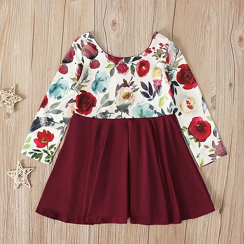 

Kids Little Girls' Dress Floral A Line Dress Daily Vacation Print Red Asymmetrical Long Sleeve Beautiful Cute Dresses Fall Spring Regular Fit 2-6 Years