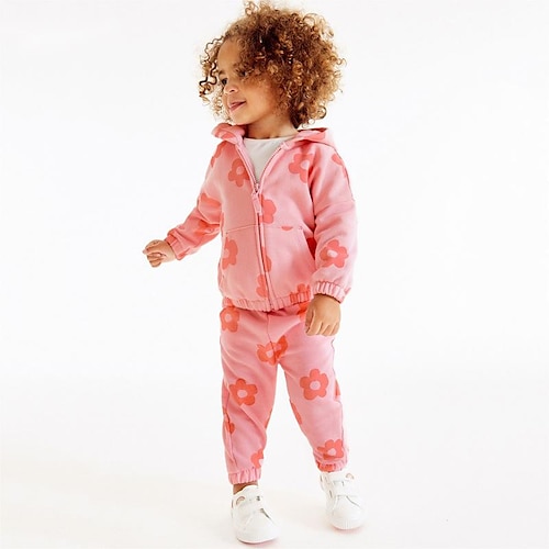 

2 Pieces Kids Girls' Hoodie & Pants Clothing Set Outfit Floral Long Sleeve Cotton Set Vacation Fashion Comfort Winter Fall 2-8 Years Pink