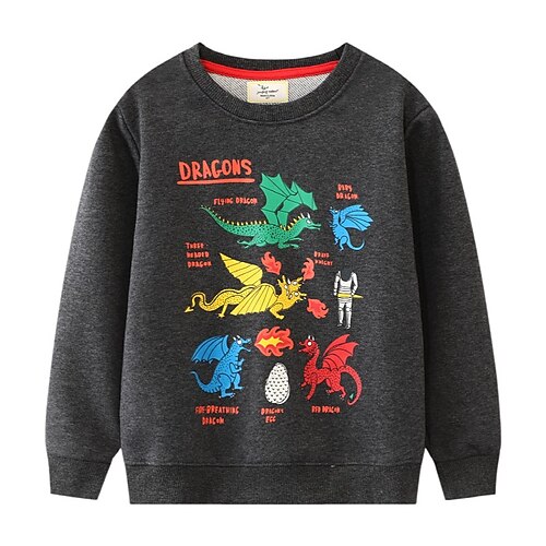 

Kids Boys Sweatshirt Dinosaur School Long Sleeve Active 3-6 Years Winter Gray