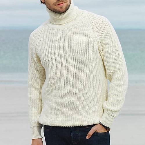 

Men's Pullover Sweater Jumper Ribbed Knit Knitted Solid Color Stand Collar Stylish Basic Daily Holiday Fall Winter Beige M L XL / Long Sleeve / Long Sleeve / Weekend