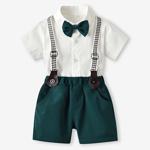 

2 Pieces Kids Boys T-shirt & Shorts Clothing Set Outfit Solid Color Short Sleeve Cotton Set Daily Casual Summer 2-6 Years Green Silver Yellow