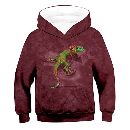 

Kids Unisex Hoodie Graphic Outdoor 3D Print Long Sleeve Pocket Streetwear 3-12 Years Winter Wine