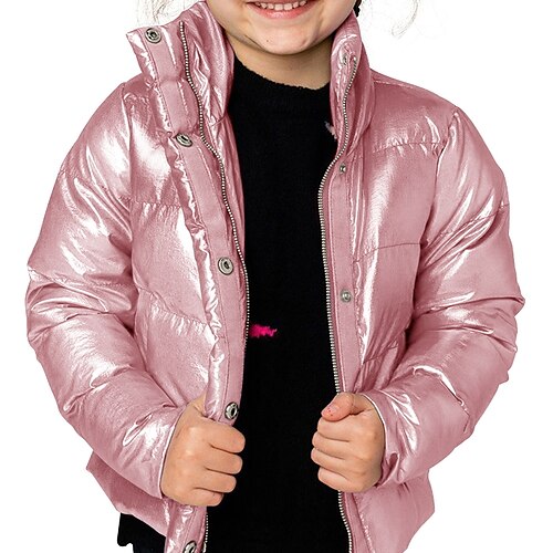 

Kids Girls' Coat Outerwear Plain Long Sleeve Zipper Coat Daily Active Adorable Black Silver Pink Winter 2-8 Years