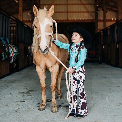 

Kids Girls' Shirt Pants Clothing Set 2 Pieces Long Sleeve Blue Graphic Patterned Print Street Indoor Vacation Active Daily Street Style 2-12 Years