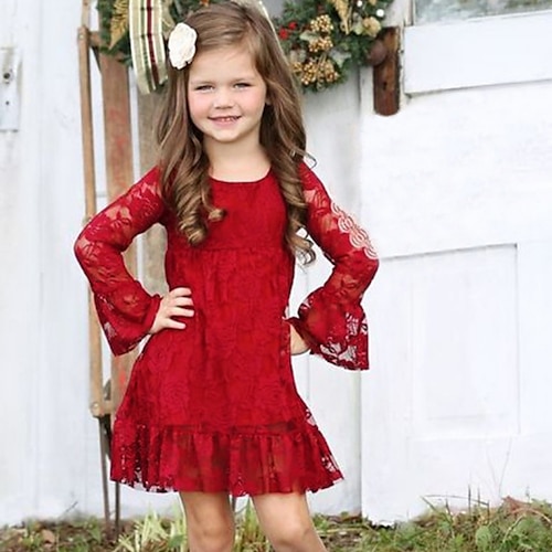 

Kids Little Girls' Dress Flower Daily Holiday Mesh Lace Print Red Long Sleeve Princess Cute Dresses Fall Spring 2-8 Years