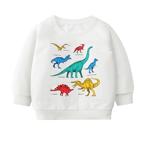 

Kids Boys Sweatshirt Dinosaur Training Long Sleeve Active 3-6 Years Winter Creamy-white