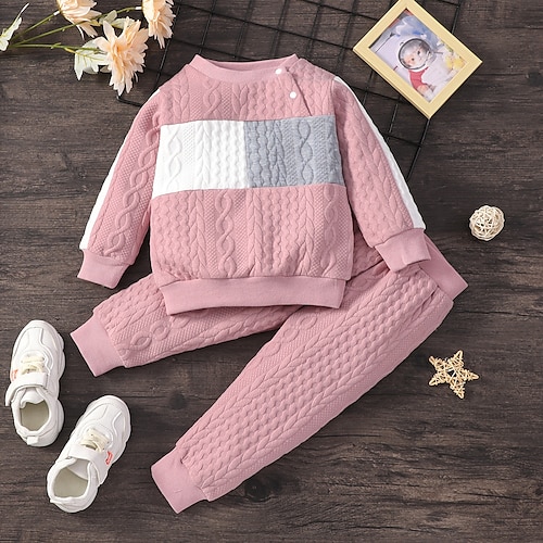 

2 Pieces Kids Girls' PantsSet Clothing Set Outfit Patchwork Long Sleeve Crewneck Cotton Set Outdoor Active Daily Spring Summer 2-6 Years Pink