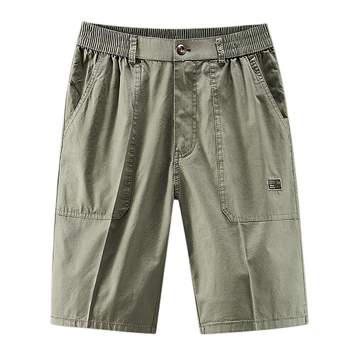 

Men's Classic Style Casual / Sporty Chinos Shorts Embroidered Zipper Elastic Waist Knee Length Pants Casual Daily Micro-elastic Embroidery Solid Colored Comfort Breathable Mid Waist Light Green Army