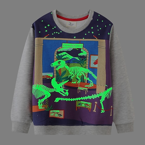 

Kids Boys Sweatshirt Cartoon Outdoor Long Sleeve Fashion Cotton 3-6 Years Winter Purple