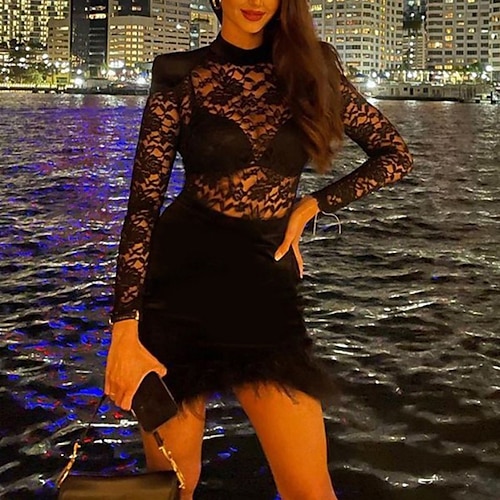 

Women's Lace Dress Feather Dress Holiday Dress Black Long Sleeve Pure Color Lace Winter Fall Autumn High Neck Party Winter Dress Fall Dress Slim 2022 S M L