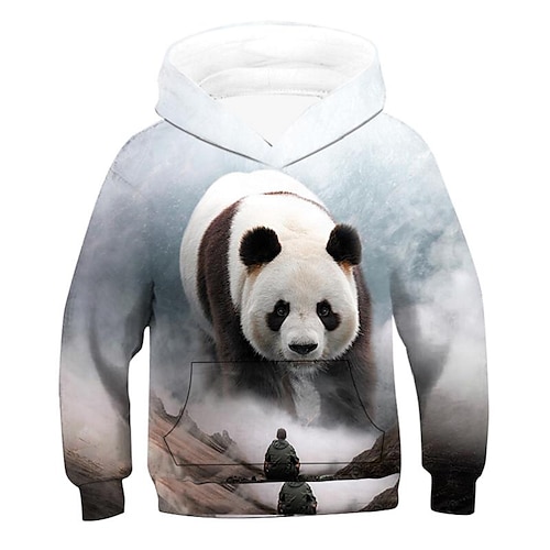 

Kids Unisex Hoodie Graphic Outdoor 3D Print Long Sleeve Pocket Fashion 3-12 Years Winter Rainbow