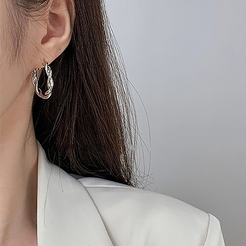 

1 Pair Hoop Earrings For Women's Birthday Street Gift Steel Drop Fashion