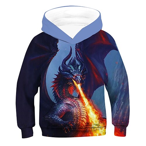

Kids Boys Hoodie Graphic Outdoor 3D Print Long Sleeve Pocket Fashion 3-12 Years Winter Blue