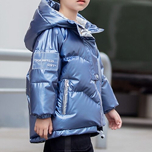 

Kids Unisex Down Coat Outerwear Plain Coat School Active Cute Blue Silver Winter Fall 3-10 Years