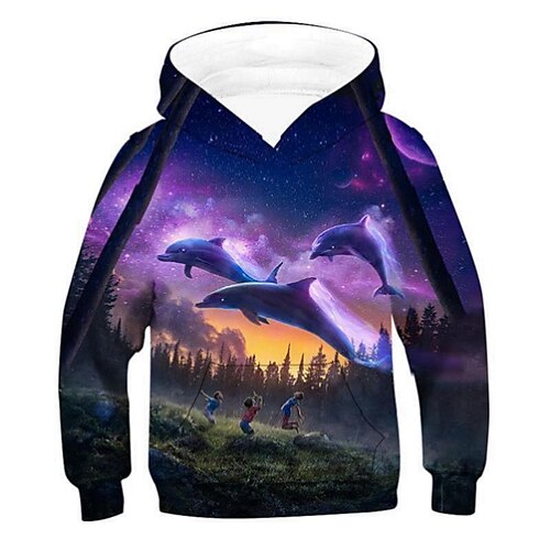 

Kids Boys Hoodie Graphic Outdoor 3D Print Long Sleeve Pocket Fashion 3-12 Years Winter Multicolor