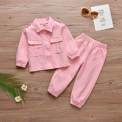 

2 Pieces Kids Girls' Shirt & Pants Clothing Set Outfit Solid Color Long Sleeve Cotton Set Vacation Fashion Sweet Winter Fall 2-6 Years Pink