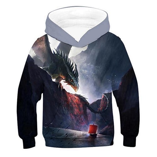 

Kids Boys Hoodie Graphic Outdoor 3D Print Long Sleeve Pocket Fashion 3-12 Years Winter Multicolor