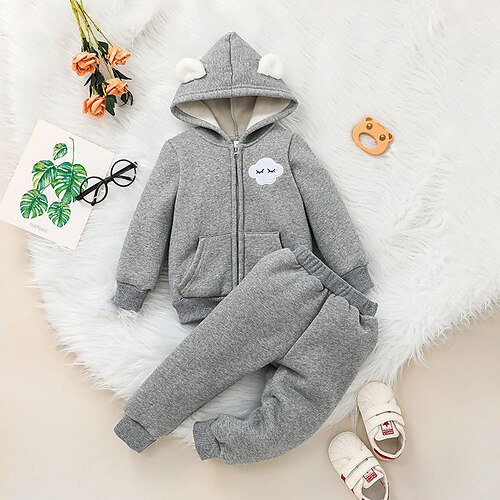 

2 Pieces Kids Girls' HoodieSet Clothing Set Outfit Solid Color Long Sleeve Set Street Daily Street Style Winter Fall 2-6 Years Gray