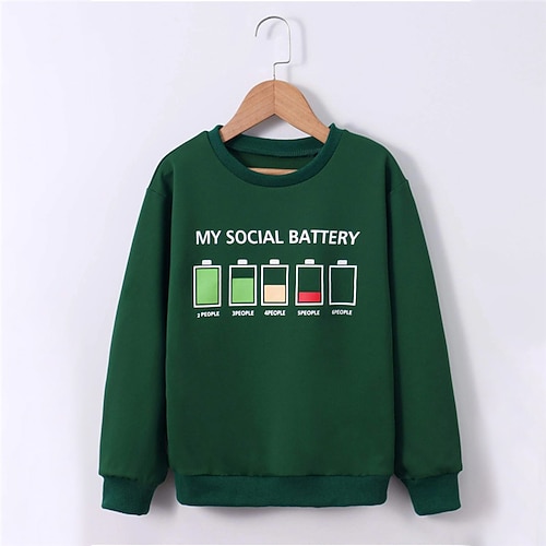 

Kids Boys Sweatshirt Letter Outdoor 3D Print Long Sleeve Crewneck Active 3-12 Years Winter Green