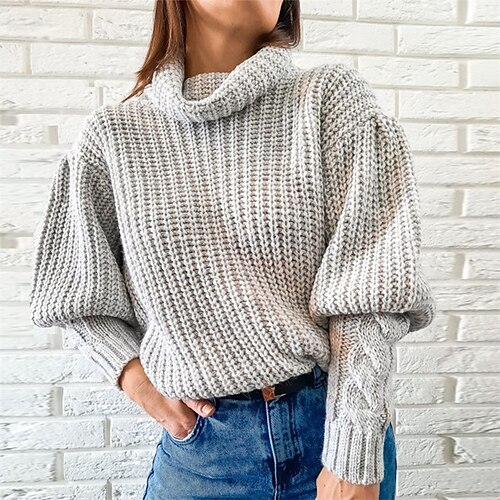 

Women's Pullover Sweater jumper Jumper Chunky Knit Knitted Pure Color Turtleneck Stylish Casual Outdoor Daily Winter Fall Light gray One-Size / Long Sleeve / Holiday / Regular Fit