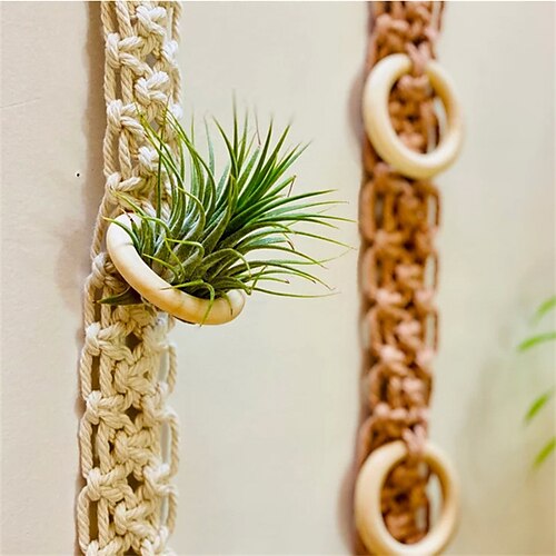 

Hand-woven Decoration Air Plants Holder Fresh Cute Wall Hanging Wall Decoration Air Green Radish Plant