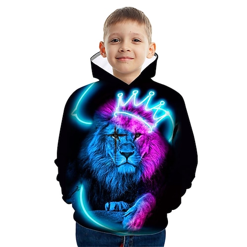 

Kids Boys Hoodie Graphic Outdoor 3D Print Long Sleeve Pocket Fashion 3-12 Years Winter Multicolor