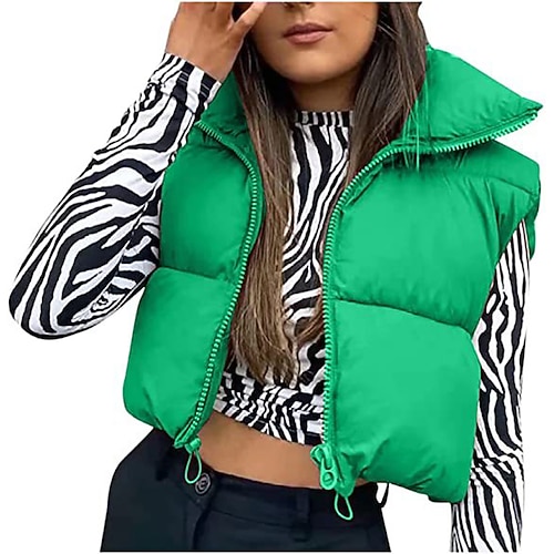 

Spicy Girls Punk & Gothic Y2K Year 2000 Masquerade Vest Women's Japanese Cosplay Costumes Green / Dark Green / Fuchsia