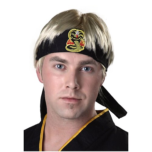 

Cobra Kai Karate Kid Johnny Perücke