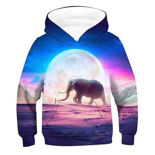 

Kids Boys Hoodie Graphic Outdoor 3D Print Long Sleeve Pocket Fashion 3-12 Years Winter Multicolor