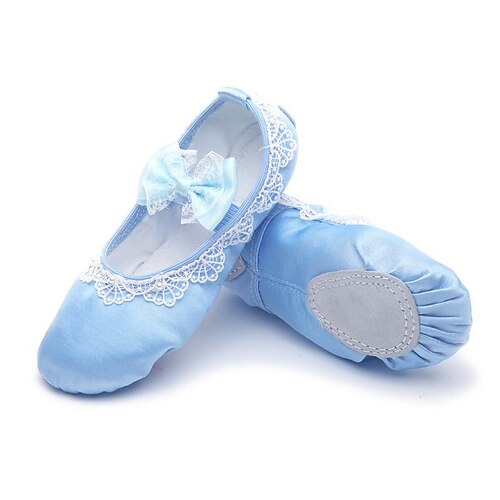 

Women's Ballet Shoes Practice Trainning Dance Shoes Stage Indoor Professional Heel Lace Flat Heel Elastic Band Blue