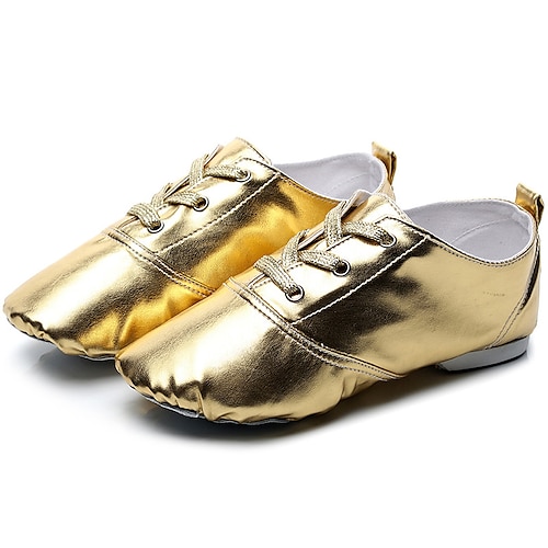 

Unisex Jazz Shoes Training Stage Indoor Flat Flared Heel Golden Silver