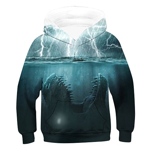 

Kids Boys Hoodie Graphic Outdoor 3D Print Long Sleeve Pocket Fashion 3-12 Years Winter Blue