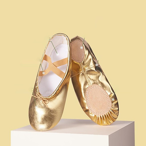 

Women's Ballet Shoes Belly Dance Practice Trainning Dance Shoes Stage Indoor Professional Heel Split Sole Flat Heel Elastic Band Silver - Drawstring Gold - Drawstring Silver / Girls'