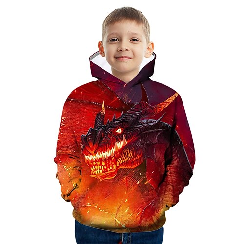 

Kids Boys Hoodie Graphic Outdoor 3D Print Long Sleeve Pocket Fashion 3-12 Years Winter Orange