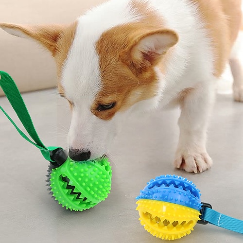 

Pet TPR circle cotton rope beaded toy pet dog toy bite resistant teething stick dog pet supplies