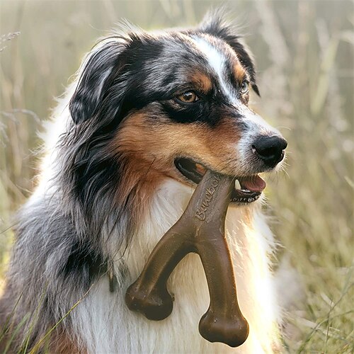

Durable Dog Chew Toy For Aggressive Chewers Original Made In Usa