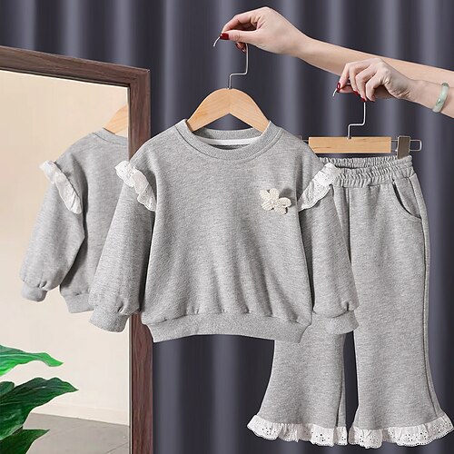 

2 Pieces Kids Girls' Hoodie & Pants Clothing Set Outfit Solid Color Long Sleeve Cotton Set Street Cute Daily Winter Fall 2-6 Years Gray