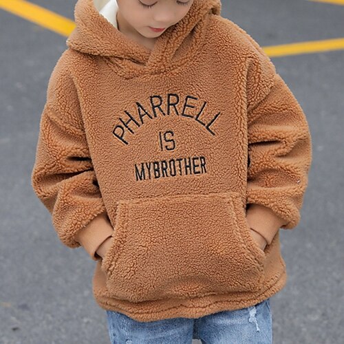 

Kids Boys Hoodie Solid Color Daily Long Sleeve Fashion Cotton 3-6 Years Winter Brown Light Blue White